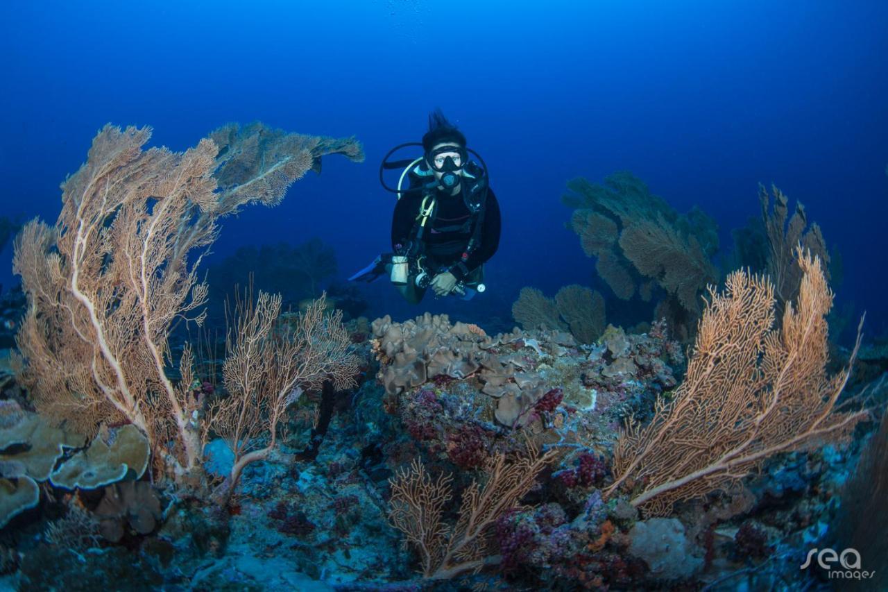 马尔代夫科德希珀鲁格兰帕克酒店 Baros Island 外观 照片